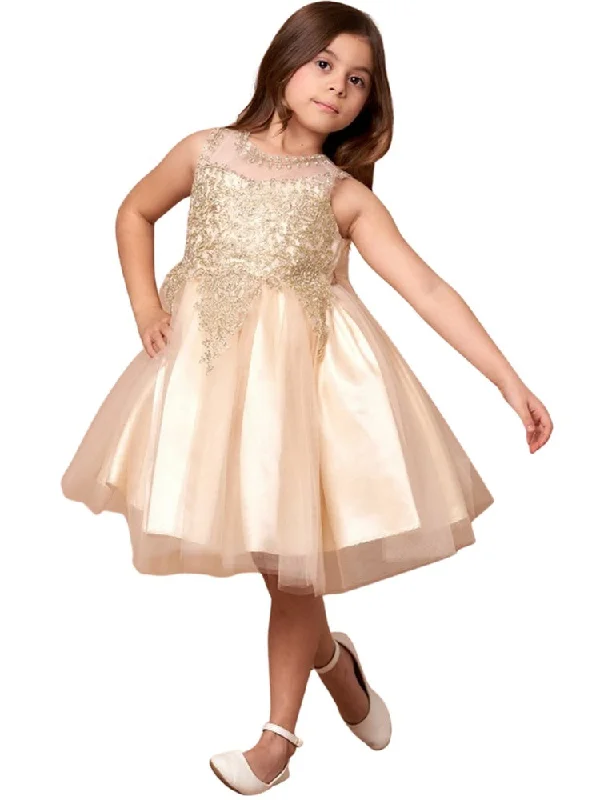 Fashion Forward Little Girls Champagne Embroidered Illusion Neckline Flower Girl Dress 4-6